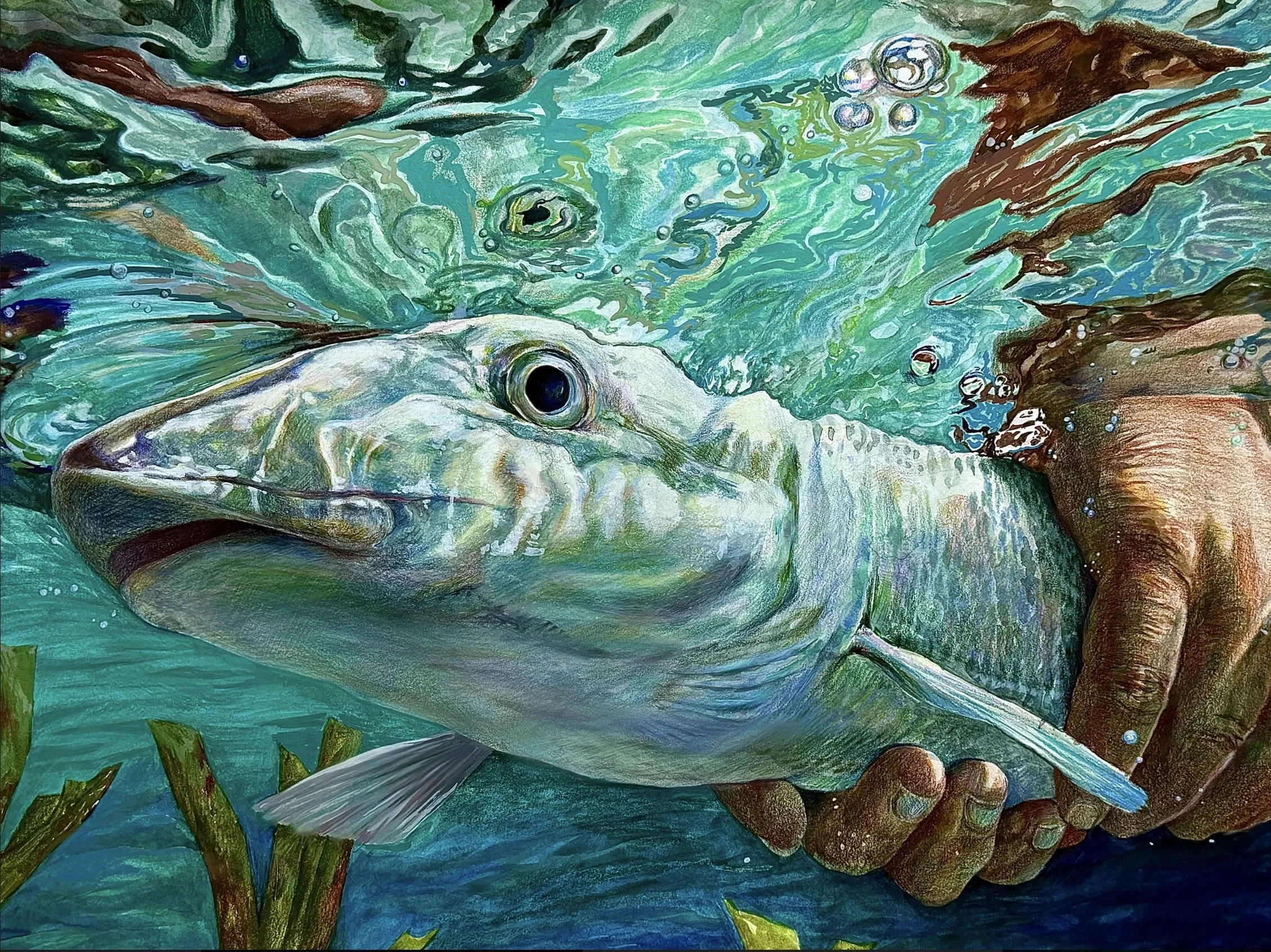 2026 Fish International Winners — Art of Conservation